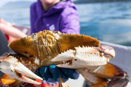 Crabbing Off a Boat