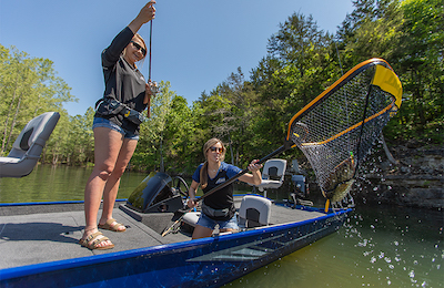 10 Cheap, Affordable Bass Boats