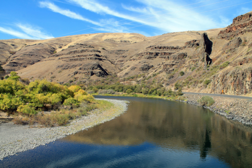 Curved river