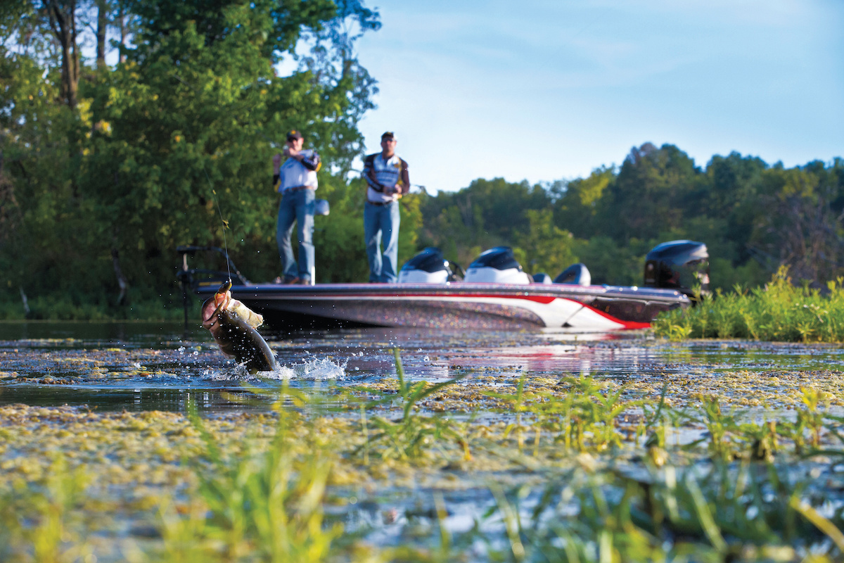 Bass Fishing Tips: How to Catch Bass