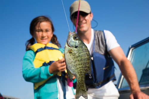 eco-friendly boating with kids