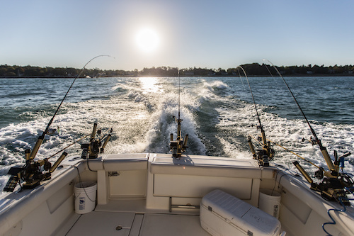 fishing charters and coronavirus