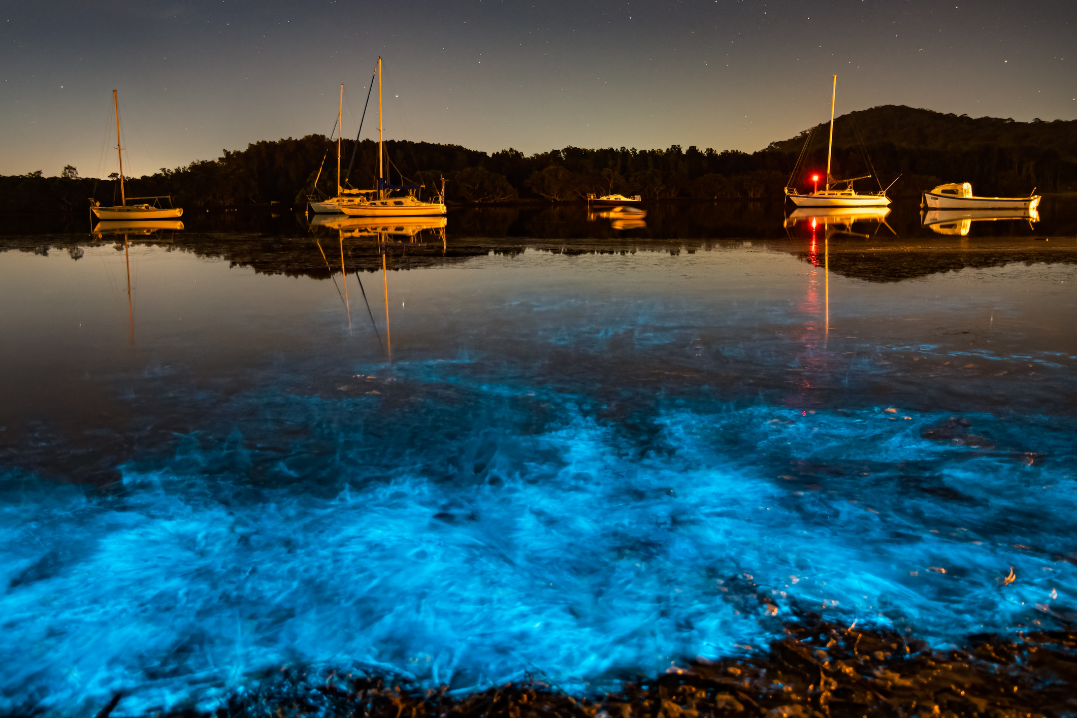 Bioluminescent Boating