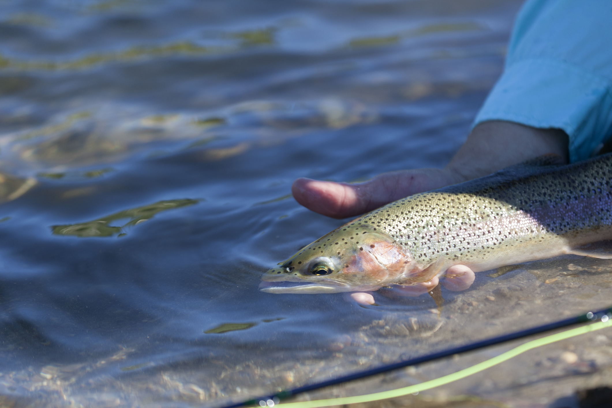 Tips for Fishing in the Winter