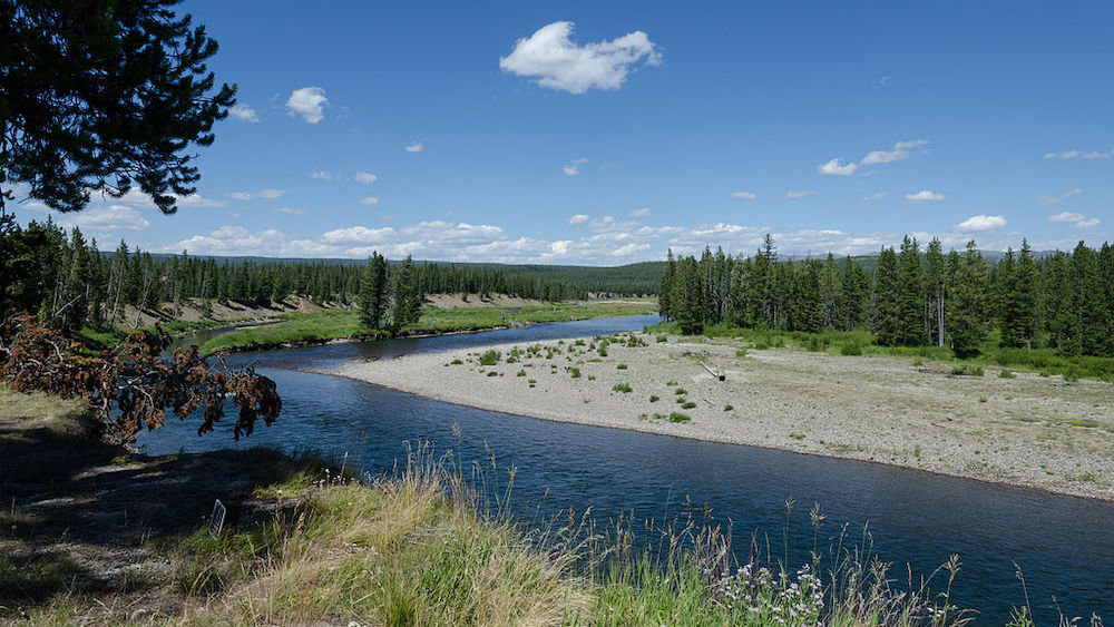 snake river yellow stone national park