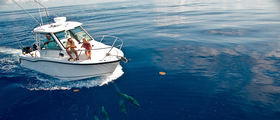 best family boats walkarounds