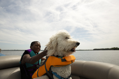 boat dogs