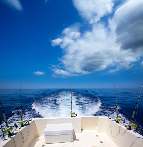 fishing charters