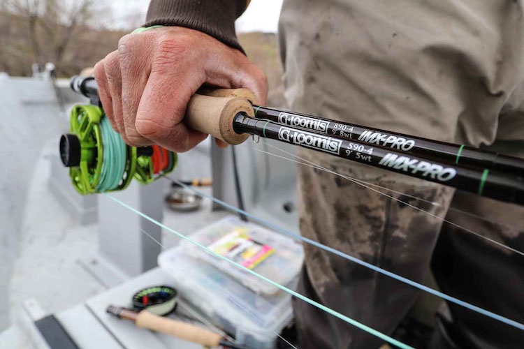 gloomis fishing rod
