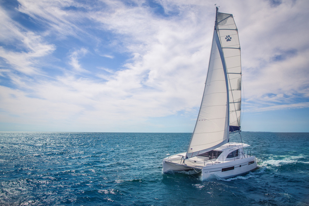 sailboat types catamaran