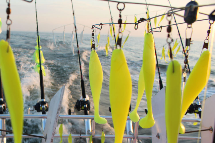 umbrella rigs