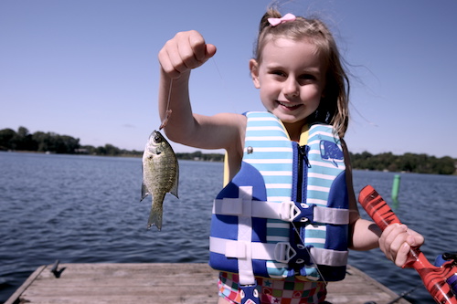 learning how to fish