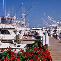 Fishing Boats