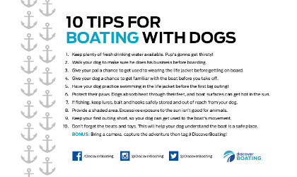 Dog boating tips Dog boating tips