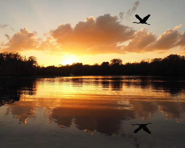 Birding-By-Boat