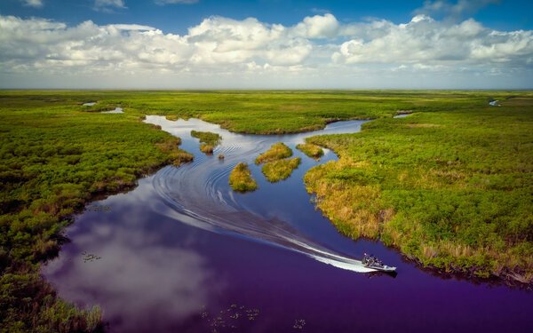 Everglades by Boat