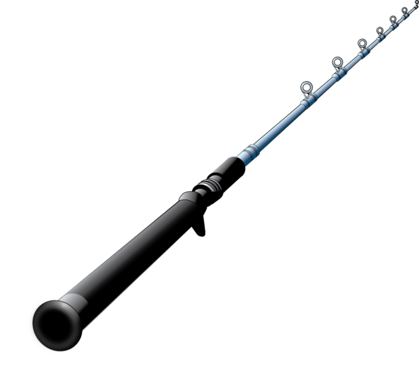 baitcasting rod