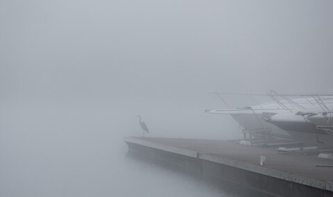 tips for boating in fog