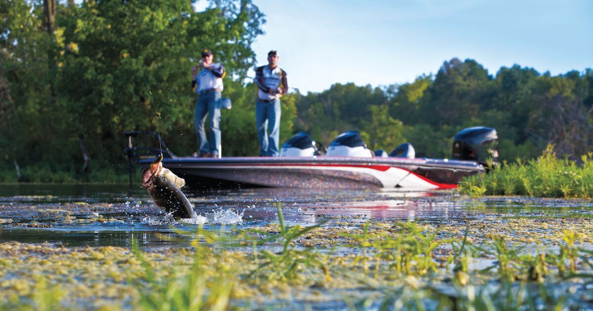 Bass Fishing Near Me No Boat