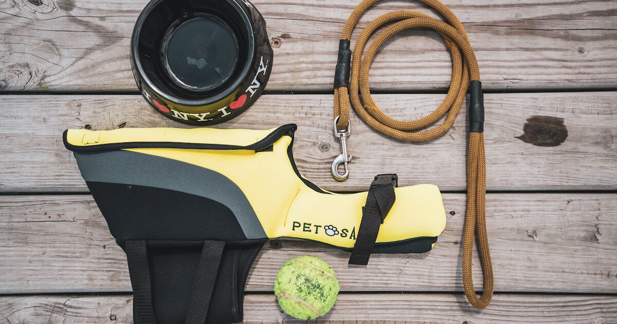 4 Must Have Dog Boat Accessories Discover Boating
