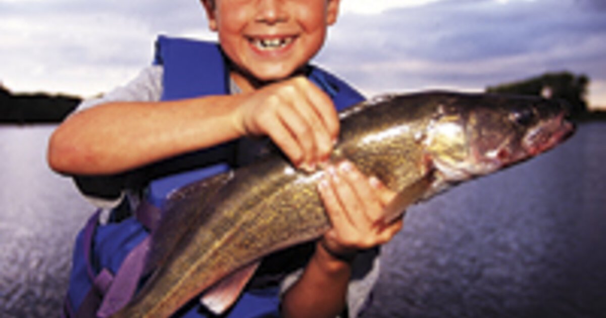 How To Keep Fish Alive - They love to feed fish and gets happy seeing them grow.
