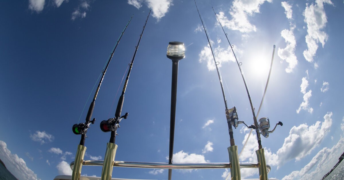 Saltwater Fishing Gear Guide