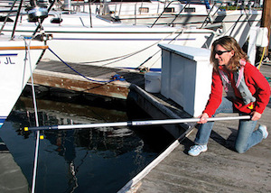 West Marine Aluminum Boat Hook 